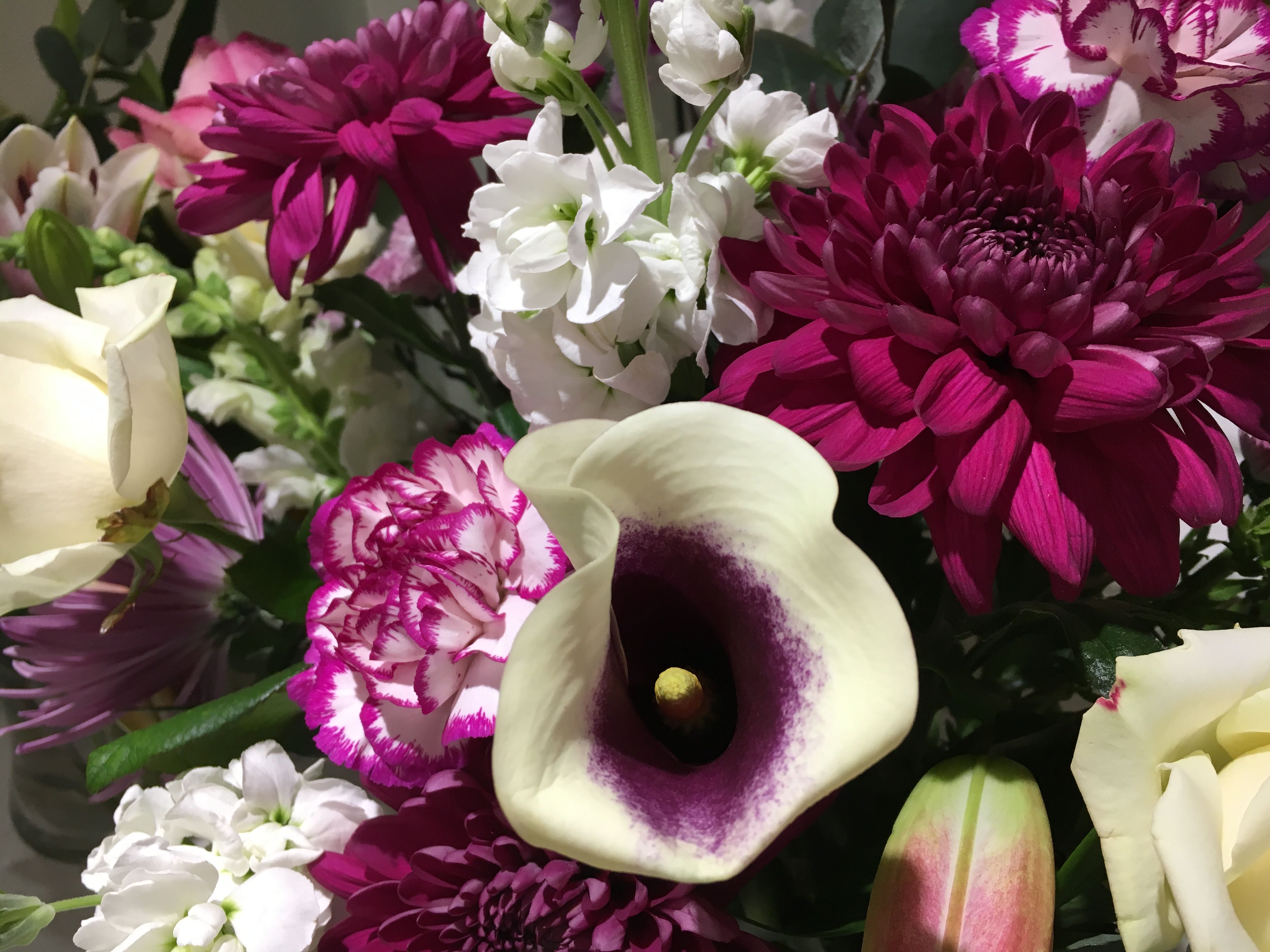 Flower Festival St. Margaret's Church, Topsham The Exeter Daily